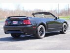 Thumbnail Photo 4 for 2000 Ford Mustang GT Convertible